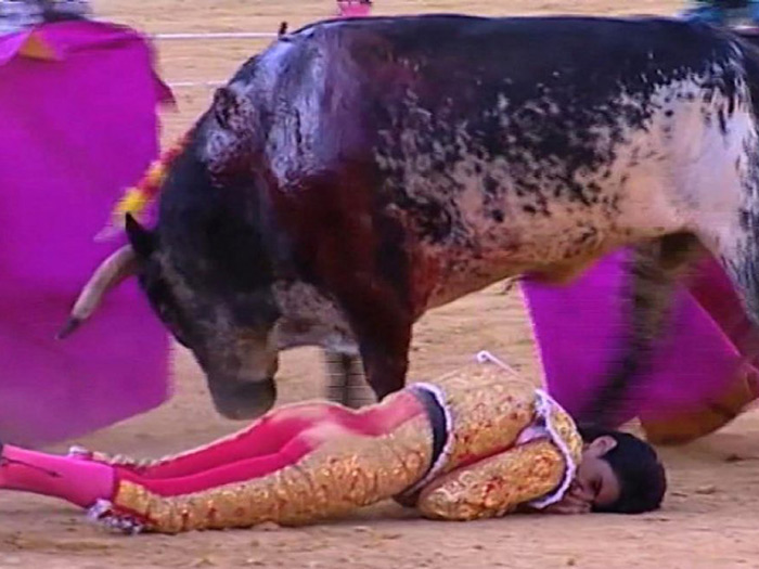 Spanish Bullfighter killed: Bull’s mother to be slaughtered