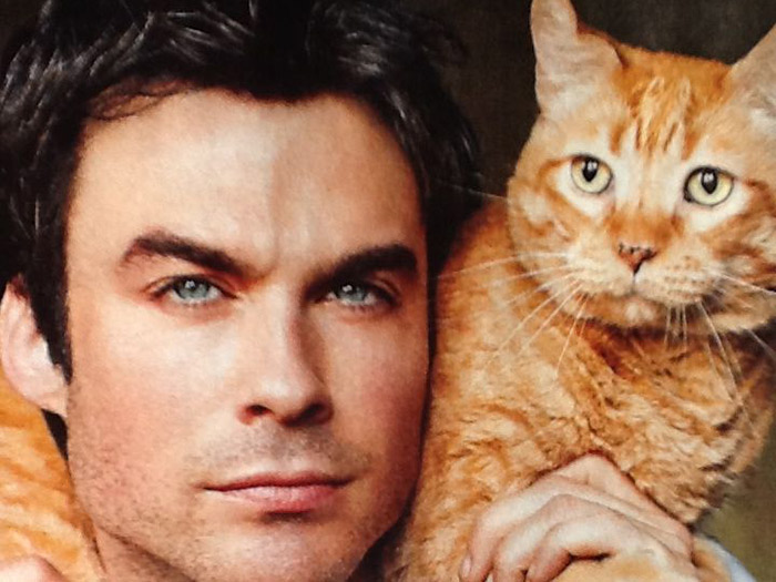 8 Celebrities and their adorable Pet