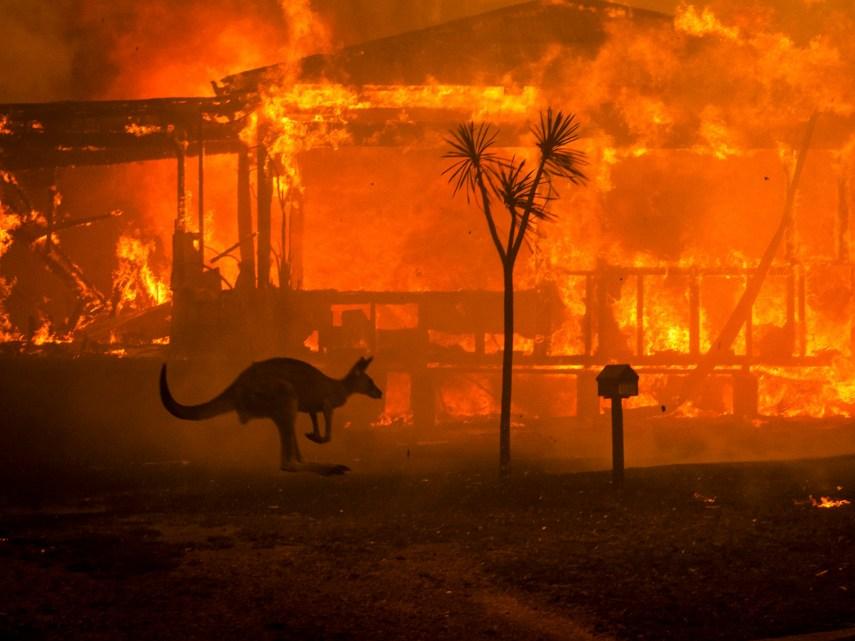 Celebrities who donated to help the Australian wildfire